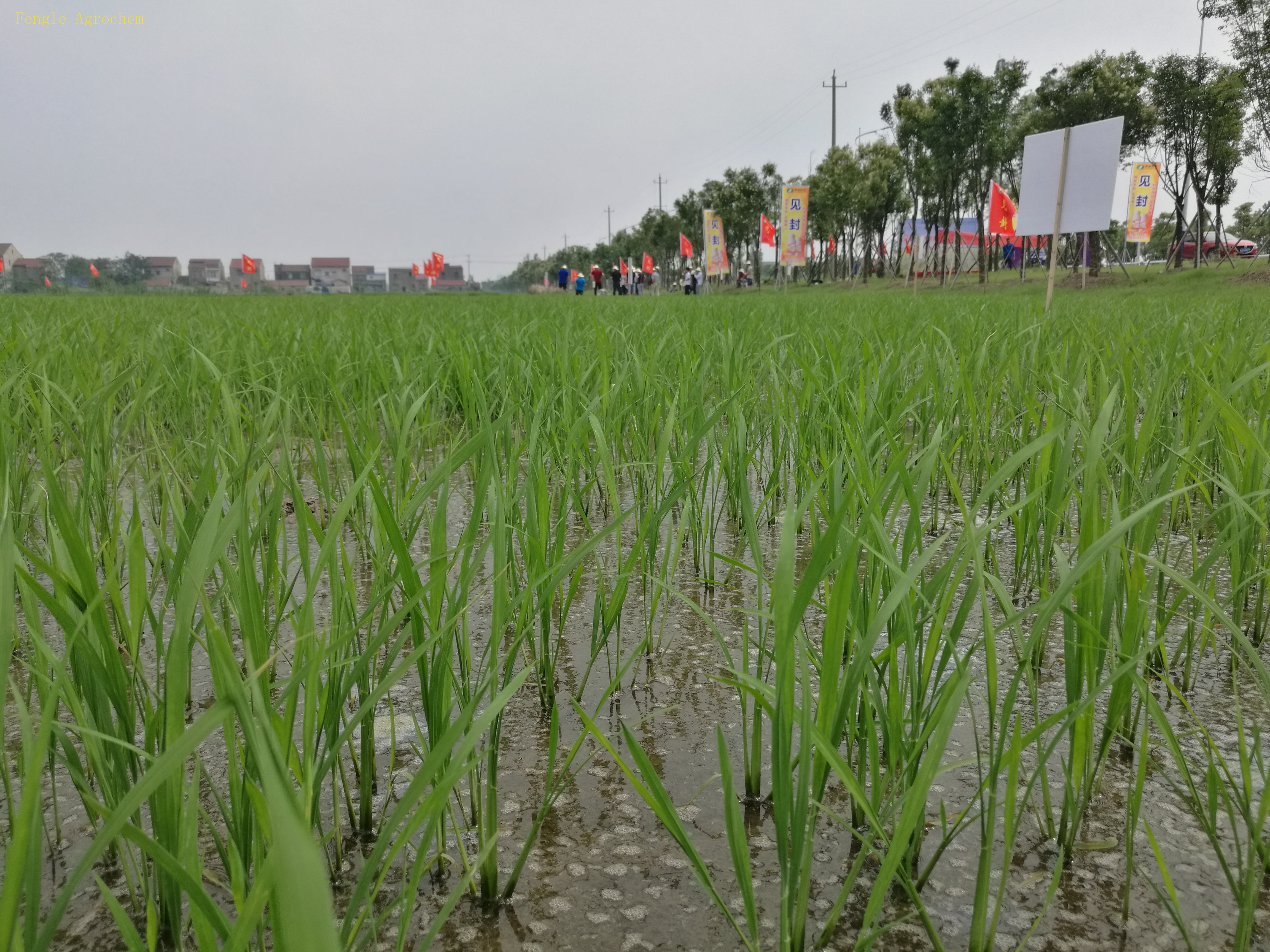 Z6×ðÁú(China)¹Ù·½ÍøÕ¾